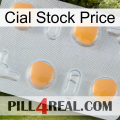 Cial Stock Price 24